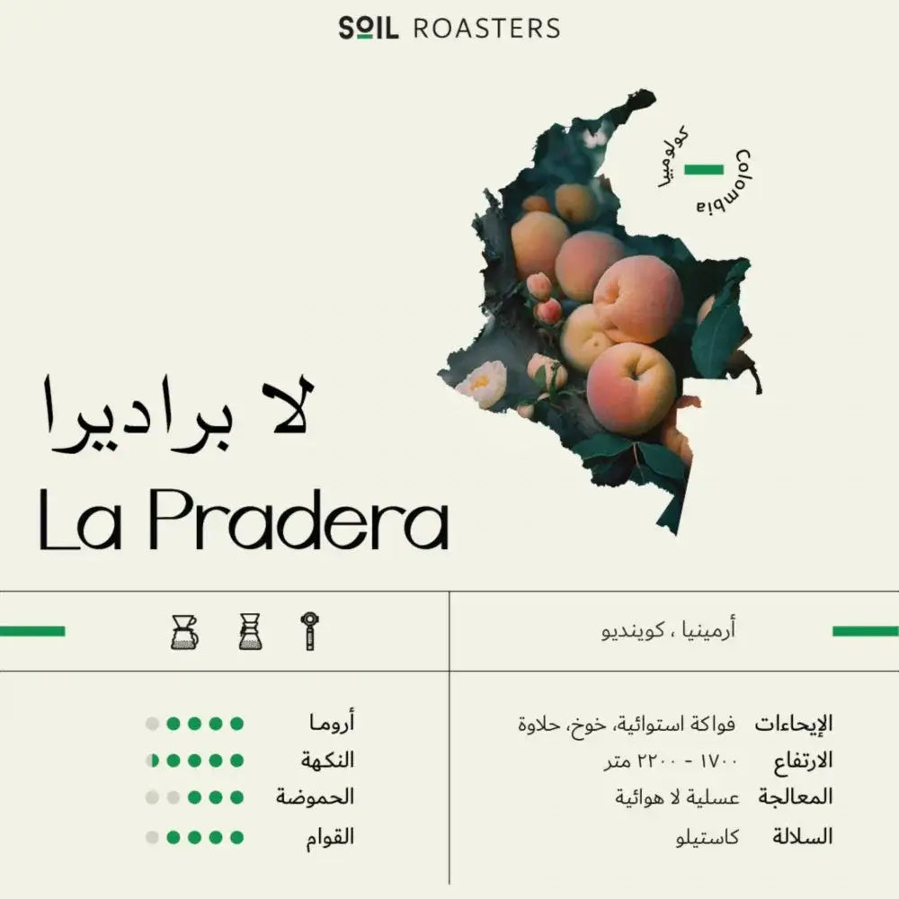 Labradera Colombian | Soil Roastery 250g - Drinks Aroma