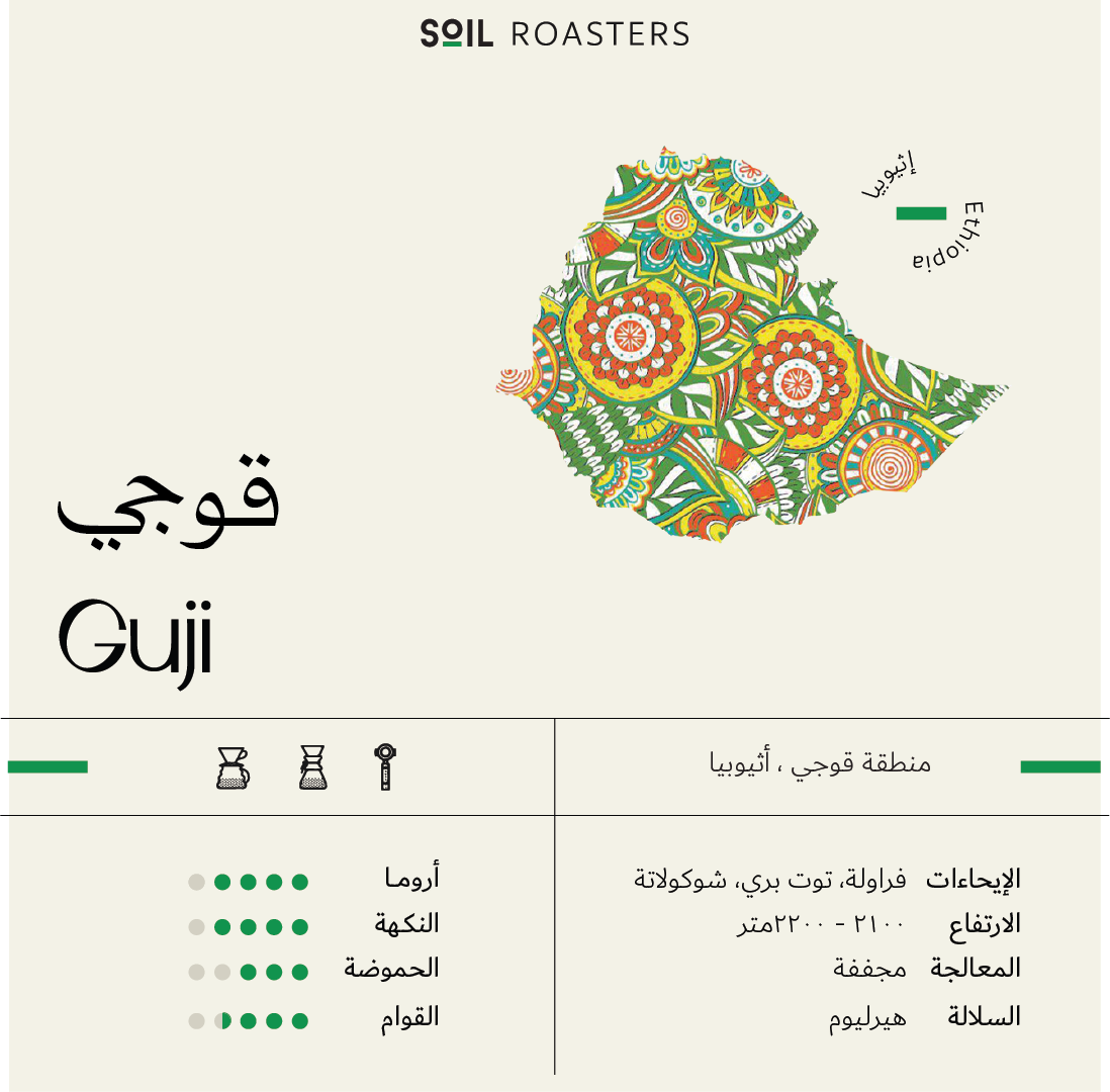 Ethiopia Guji | soil 1kg