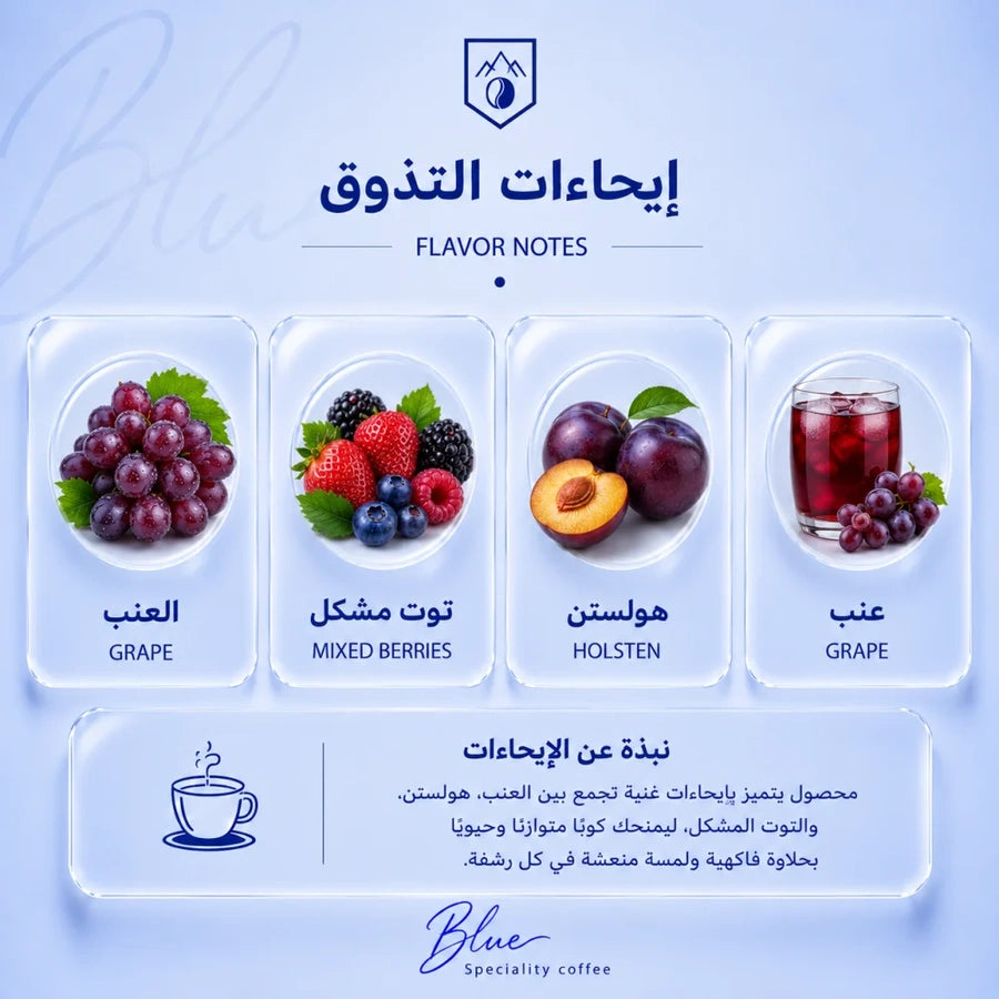 محمصة بلو - كولومبيا هولستن العنب 150 جرام - صورة 3