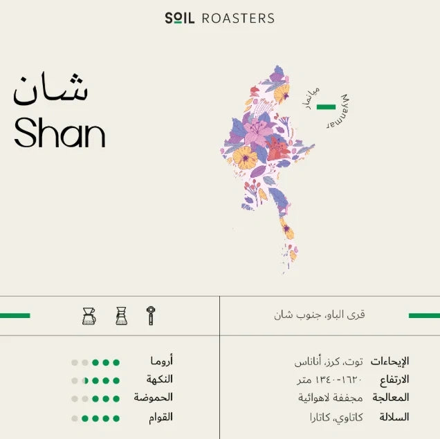 Soil Roastery - Myanmar Shan 250g